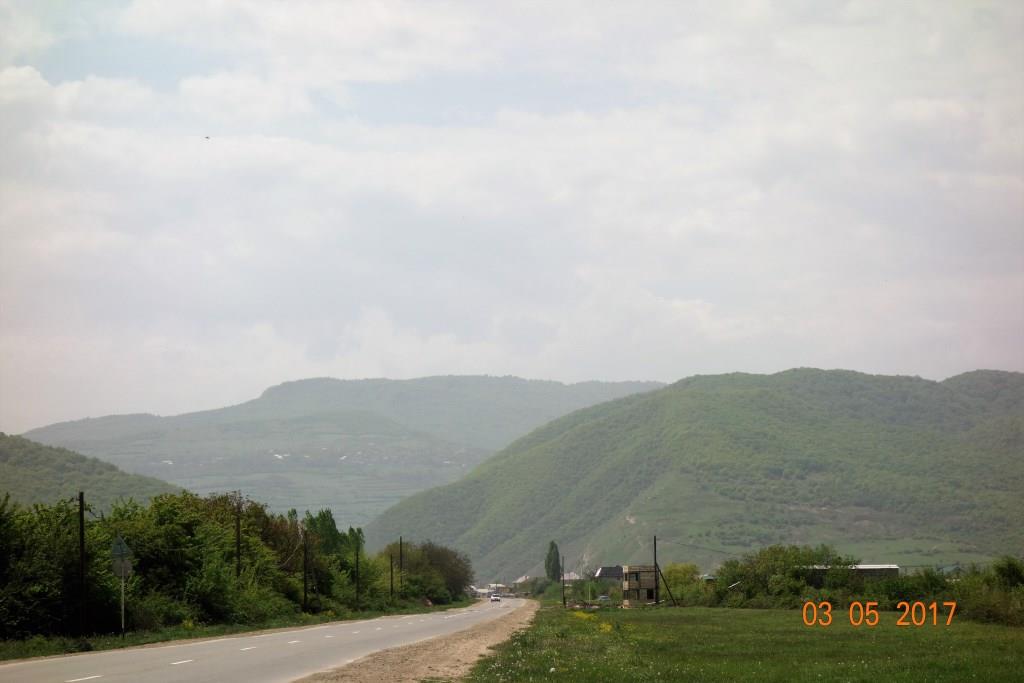 DSC00310.JPG
