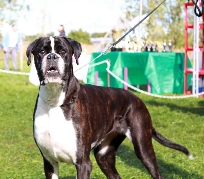 "Где же папа ?..."