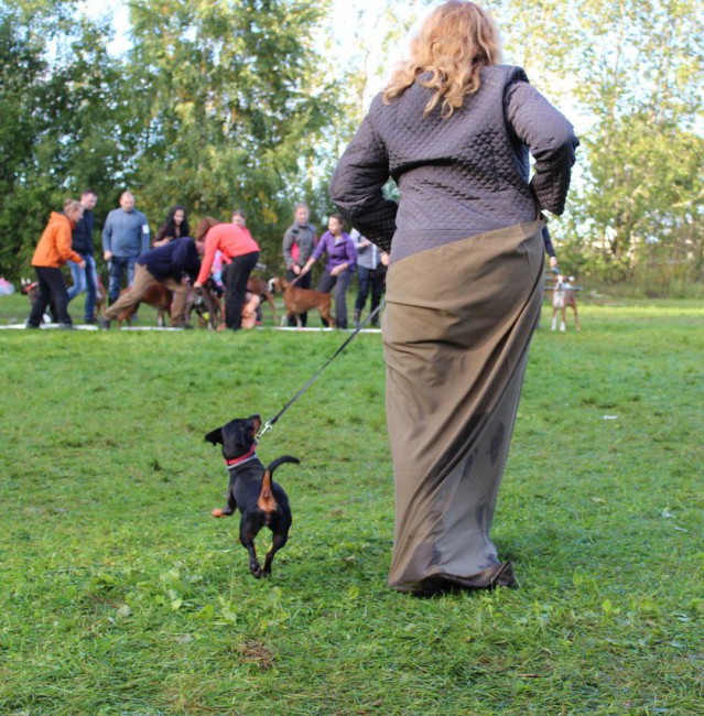 Бег в мешках - гости смотра