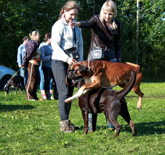 Работа в паре