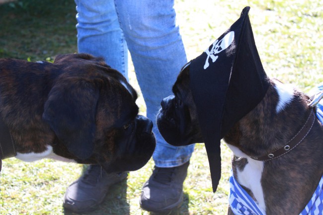 "Не узнаю в гриме..."