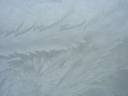 DSCN9229.JPG