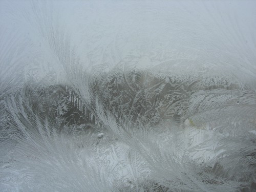 DSCN9245.JPG
