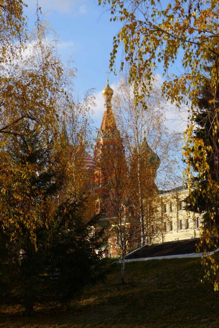 P1350654.JPG