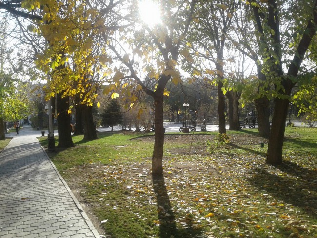 Парк.jpg