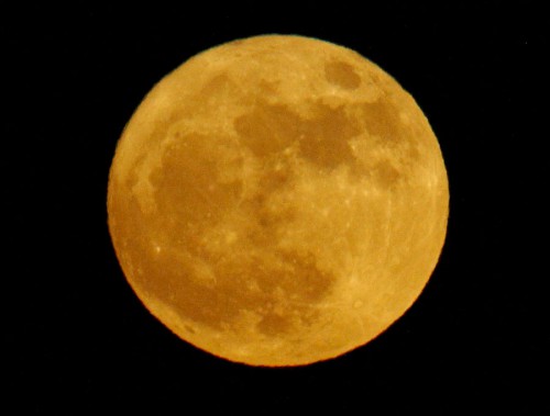 640.jpg