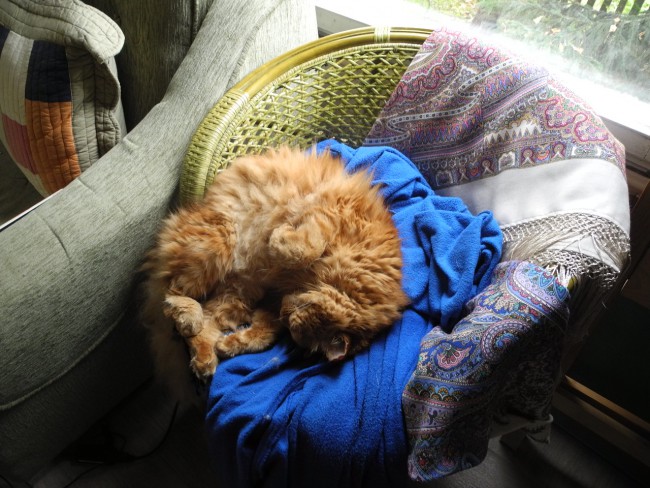 DSCN6637.JPG