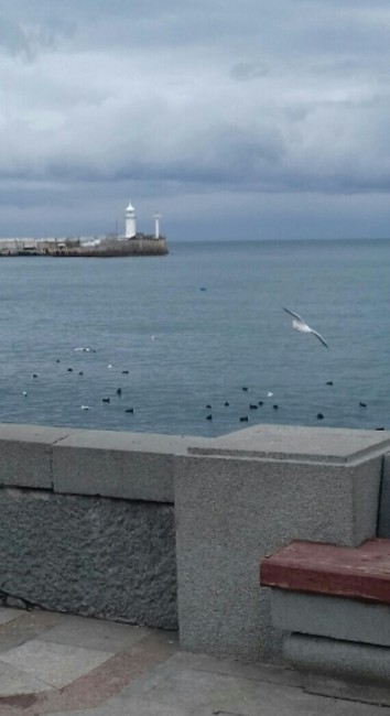 20171225_202617-1.jpg