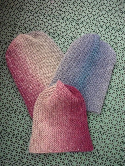 P1260147++.jpg