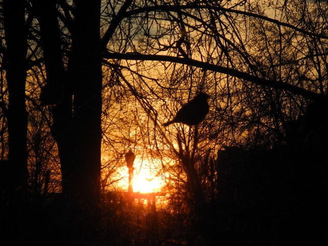 DSCN6670.JPG