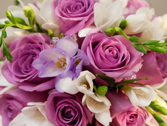 look.com.ua-58309.jpg