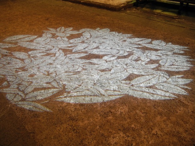DSCN6720.JPG