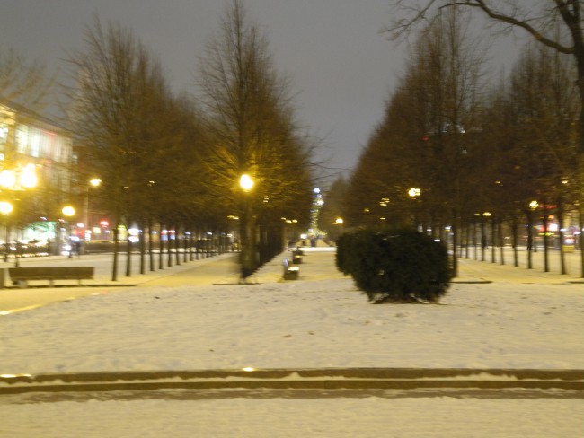 DSCN6729.JPG