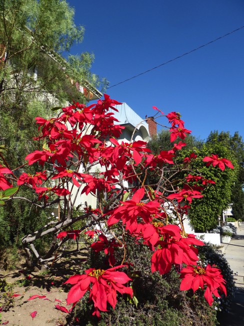 P1090834.JPG