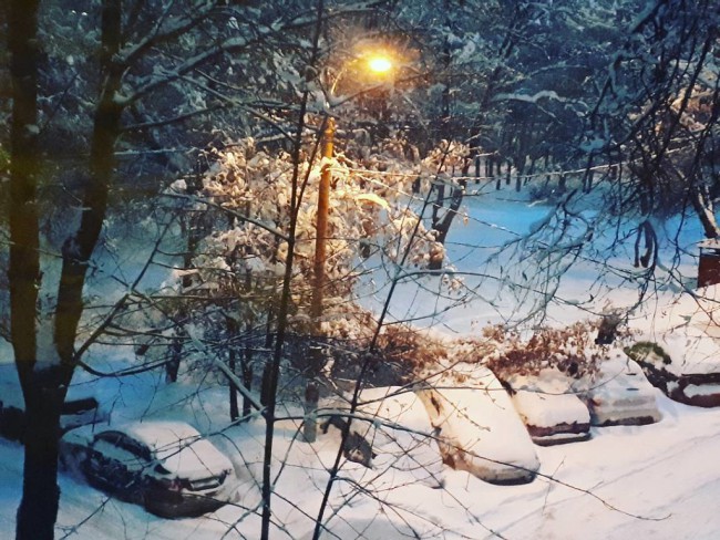 05 02 зима.jpg