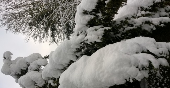 WP_20180207_045.jpg