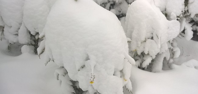 WP_20180207_005.jpg