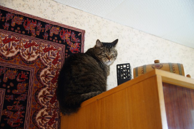 отношение к ремонту.jpg