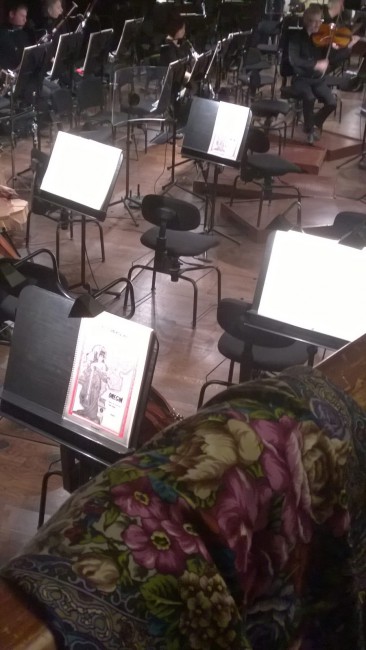 Старый замок-14 Елена Жукова Гранд Опера Париж