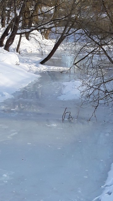 20180309_164300.jpg