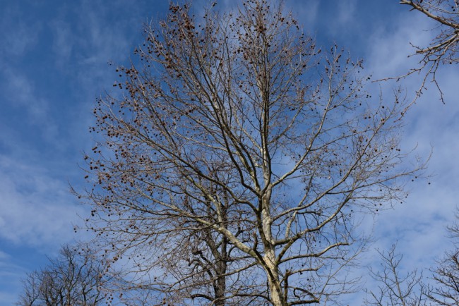 DSCF5634.JPG