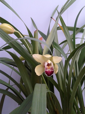 2018-03-15 07.39.22.jpg