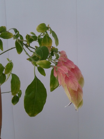 2018-03-15 07.43.14.jpg