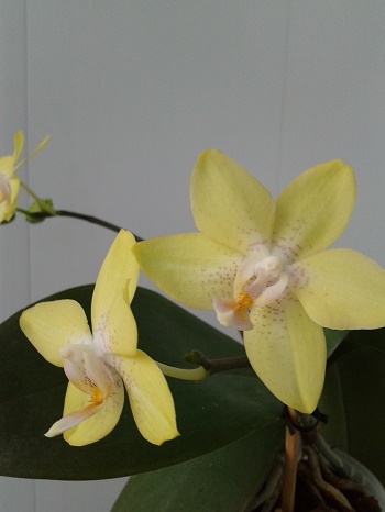 2018-03-18 12.48.56.jpg