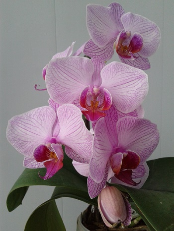 2018-03-18 12.47.58.jpg