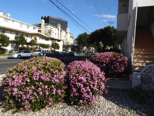 P1100591.JPG