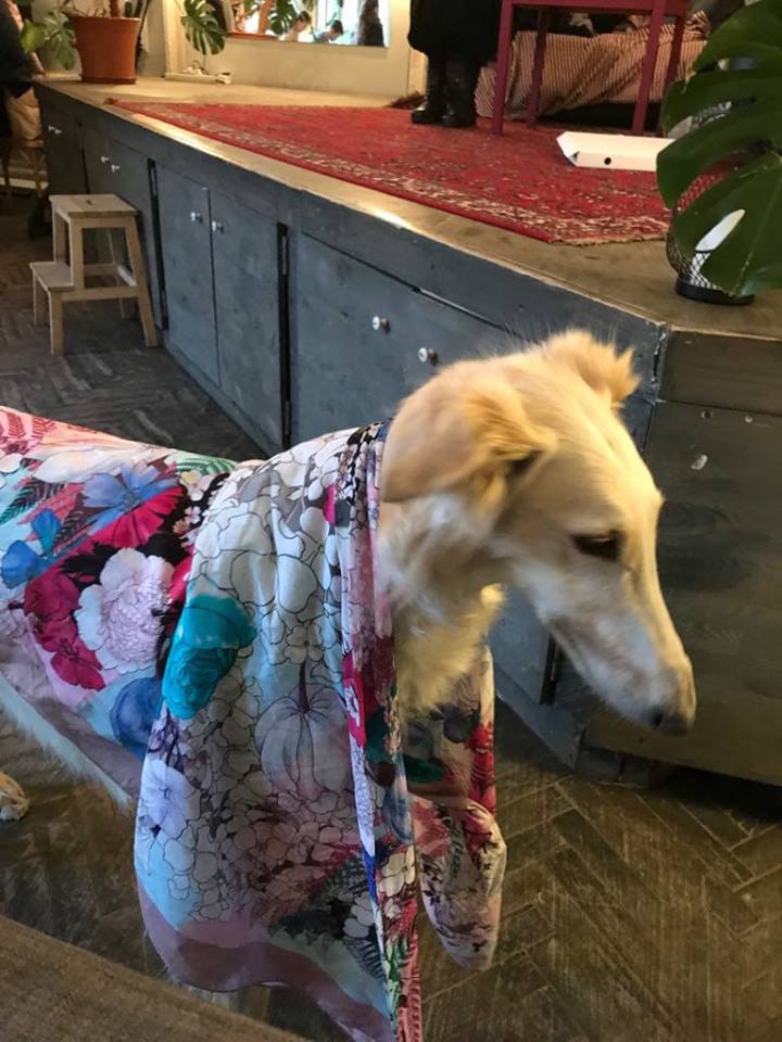 хлопок+шёлк