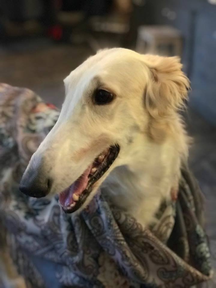 Тайна сердца