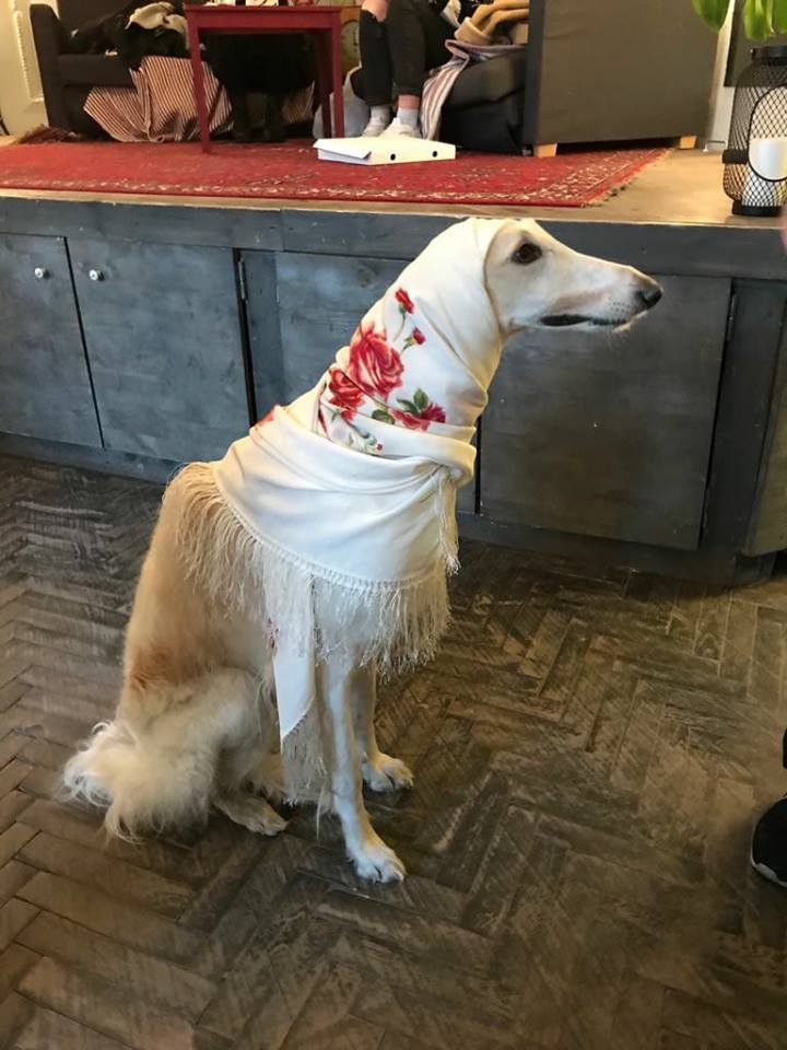 Белые розы шёлк