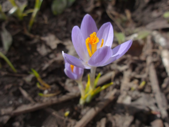 DSC03794.JPG