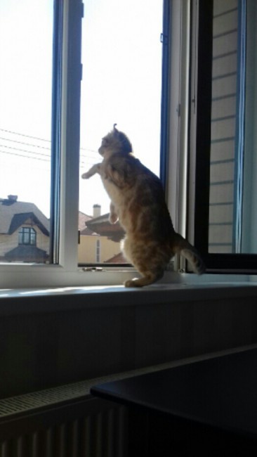 20180414_160611-1.jpg