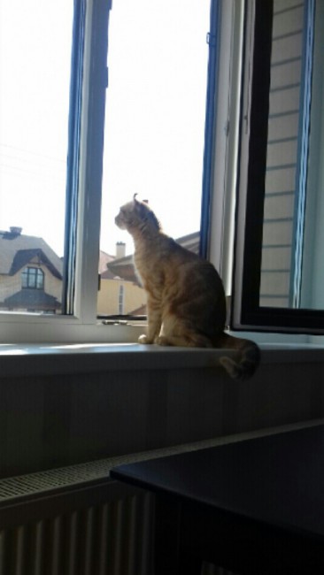 20180414_160634-1.jpg
