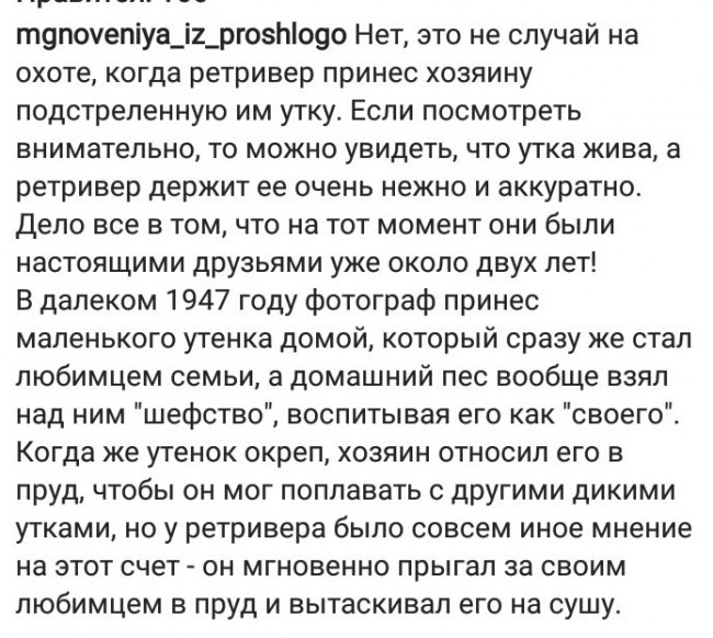 IMG-20180419-WA0003-1.jpg