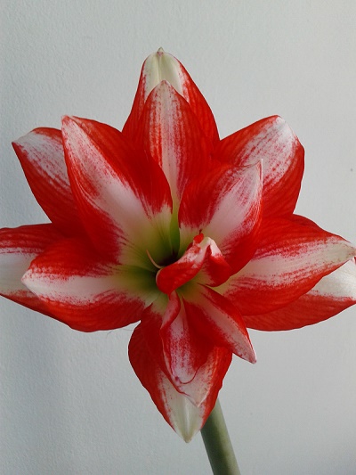 2018-04-21 08.44.38.jpg