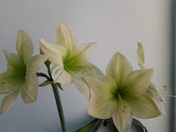 2018-04-21 08.42.14.jpg