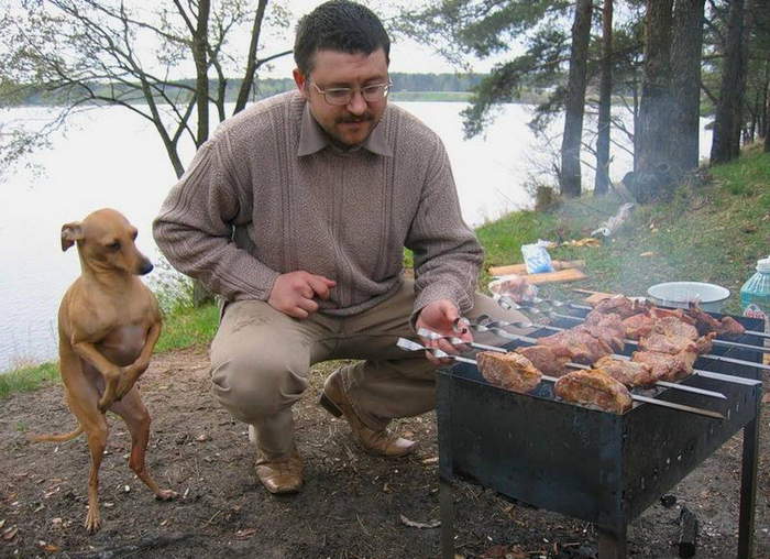 мусье, же не манж па сис жур...jpg