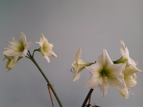 2018-04-25 18.49.24.jpg