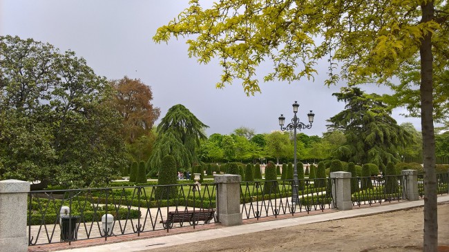WP_20180429_16_42_07_Pro.jpg