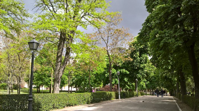 WP_20180429_16_57_17_Pro.jpg