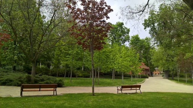 WP_20180429_17_10_35_Pro.jpg