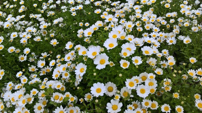 WP_20180429_17_16_32_Pro.jpg