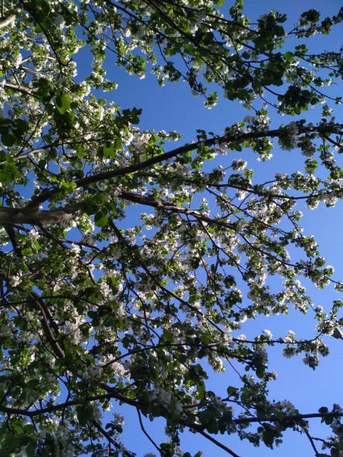 IMG_20180507_190648_000.jpg