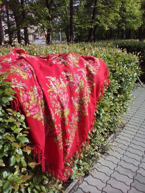Лето_красное.jpg