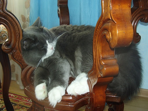 P1220105.JPG