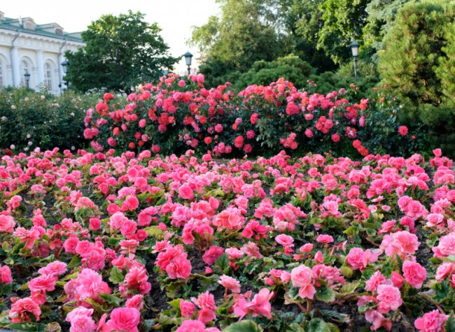 DSCF8443.JPG