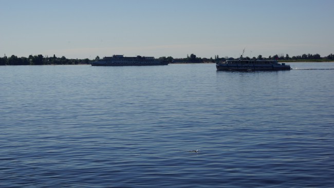 DSC06341.JPG
